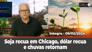 Soja recua em Chicago, início do feriadão chinês. Chuvas retornam a boa parte do País