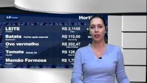Notícias de Hortifrúti com Karina Botião