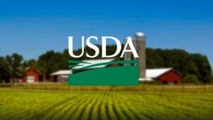 USDA deverá manter produção de soja do Brasil e Argentina estável, diz WSJournal