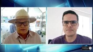 Estratégias para travar preços para 2025 não acontecerão antes de agosto