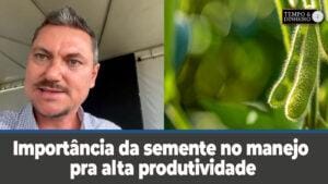 Importância da semente no manejo pra alta produtividade