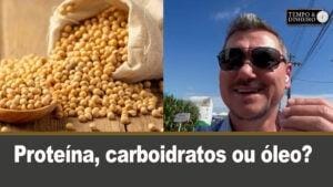 Proteína, carboidratos ou óleo? Como agregar valor a sua produção de soja?