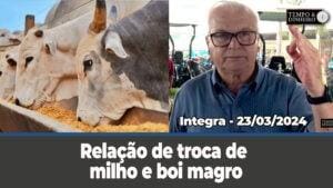 Temporais no Sul e maior volume de negócios de soja no balcão gaúcho