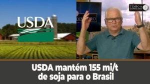 USDA mantém 155 mi/t de soja para o Brasil. Dólar sobe de olho no emprego dos EUA