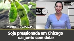 Soja pressionada em Chicago cai junto com dólar