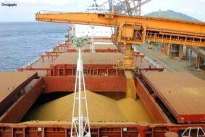 Brasil amplia liderança como principal fornecedor de milho e soja à China