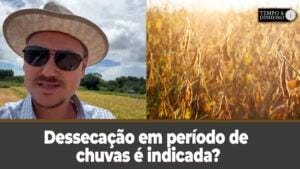 Dessecação em período de chuvas é indicada? o manejo para final de soja e início da safra de milho