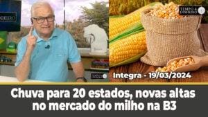 Chuva para 20 estados, novas altas para o milho e novo ICMS para importadoras de leite em MG