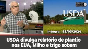 USDA divulga relatório de plantio nos EUA. Milho e trigo sobem. Dólar estável.