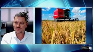 Chuvas devem provocar novas perdas aos produtores gaúchos de arroz e soja. O que fazer?