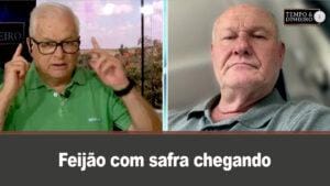 Feijão com safra chegando