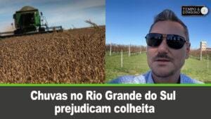 Chuvas no Rio Grande do Sul prejudicam colheita com perda da qualidade dos grãos de soja e arroz
