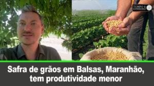 Safra de grãos em Balsas, Maranhão, tem produtividade pouco menor que a anterior