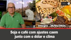 Soja e café com ajustes caem junto com o dólar, soja perdida por excesso de umidade ,chuvas intensas