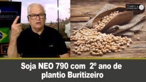 Soja NEO 790 com 2º ano de plantio, em Buritizeiro, MG, com produtividade acima de 95 sacas/hec