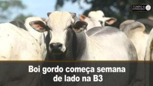 Boi gordo começa semana de lado na B3 e mercado físico. Acompanhe a análise de Hyberville Neto