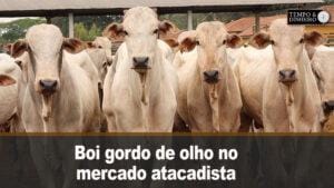 Boi gordo de olho no mercado atacadista e consumo no mês de maio. Hyberville Neto