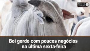 Boi gordo com poucos negócios na última sexta-feira de abril, mas de olho no início de maio