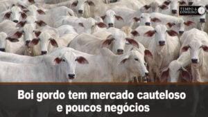 Boi gordo tem mercado cauteloso e poucos negócios nesta sexta-feira