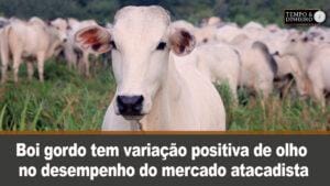Boi gordo tem variação positiva de olho no desempenho do mercado atacadista de maio.