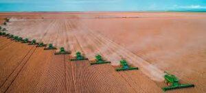 Cavalinho encalhado da Soja se mantendo