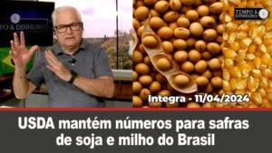 USDA mantém números para safras de soja e milho do Brasil. Dólar para cima. Chuvas intensas