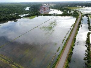 Entidades vão iniciar plano emergencial para recuperar agropecuária gaúcha