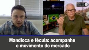 Mandioca e fécula: acompanhe o movimento do mercado com Fabio Isaías Felipe, do Cepea/Esalq