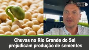 Chuvas no Rio Grande do Sul prejudicam produção de sementes e produtor deve ficar atento