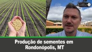 Acompanhamento da safra com Alexandre Gazolla e a produção de sementes em Rondonópolis, MT