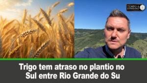 Trigo tem atraso no plantio no Sul, Rio Grande do Sul e em Santa Catarina, informa Alexandre Gazolla