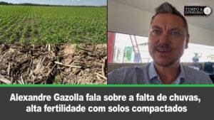 Da Bolívia: Alexandre Gazolla fala sobre a falta de chuvas, alta fertilidade com solos compactados