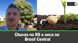 Chuvas no RS e seca no Brasil Central colocam produção de sementes no radar das preocupações