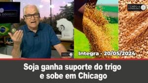 Soja ganha suporte do trigo em Chicago. Dólar próximo da estabilidade. Chuvas previstas para RS, SC