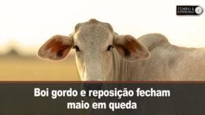 Boi gordo e reposição fecham maio em queda sem reação prevista para começo de junho