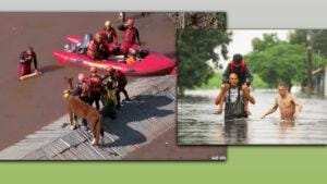 EDITORIAL – Estranhas prioridades