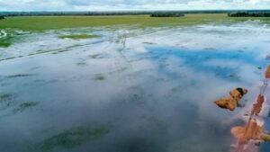 Arrozeiros garantem que não faltará arroz mesmo com as enchentes no Rio Grande do Sul