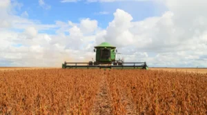 Soja pegou carona no trigo do USDA