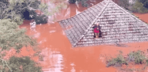 EDITORIAL – Sem empatia