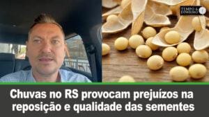Chuvas no RS provocam prejuízos na reposição e qualidade das sementes. O que fazer?