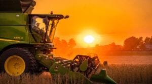 Soja vendo Cavalinho fugir