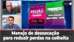 Manejo de dessecação para reduzir perdas na colheita no feijão e gergelim. Saiba como com a Lavoro
