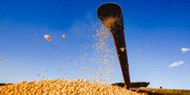 Prêmios da Soja melhorando