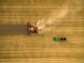 Soja com apoio do Farelo e Dólar