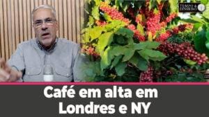 Café abre junho em alta em Londres e NY