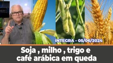 Soja, milho, trigo e café arábica em queda. Arroz importado da Tailândia?
