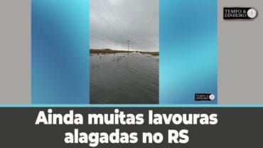 Rio Grande do Sul tem muitas lavouras alagadas