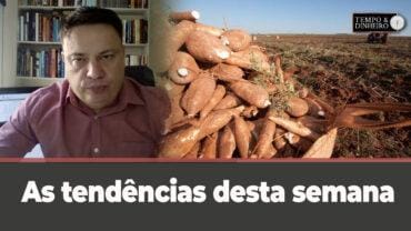 Mercado da mandioca . Fábio Isaías Felipe comenta as tendências desta semana