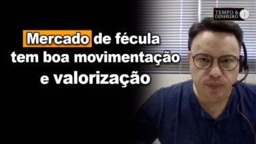 Mandioca: mercado de fécula tem boa movimentação e valorização, mercado da farinha pressionado