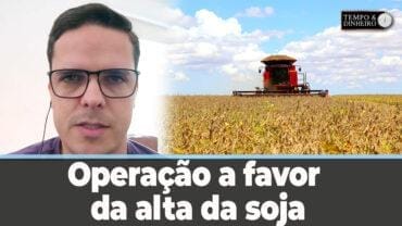 Soja: operação a favor da alta da soja para setembro/outubro? Maurício Belinello explica o porquê